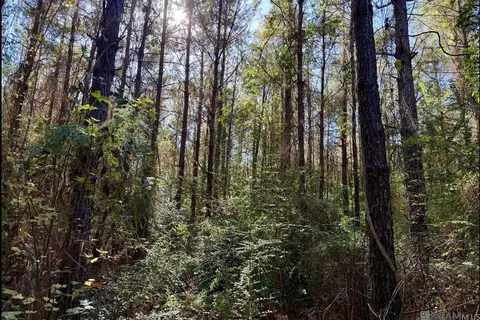 25 Bobcat Ln, Amite, LA 70442