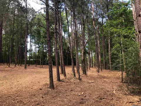 tbd Hatfield Ln, Jackson, LA 70748 photo 5