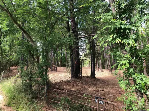 tbd Hatfield Ln, Jackson, LA 70748 photo 6