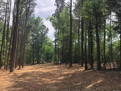 tbd Hatfield Ln, Jackson, LA 70748 photo 3