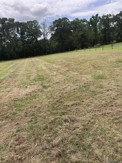 8736 Patterson Cemetery Ln, Slaughter, LA 70777