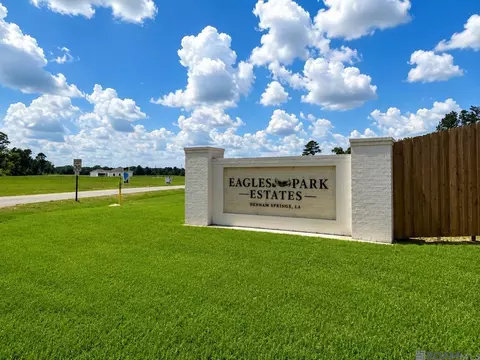 24132 Red Tail Ln, Denham Springs, LA 70726