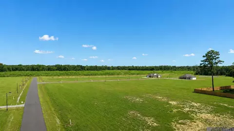 13503 Eagles Park Dr, Denham Springs, LA 70726