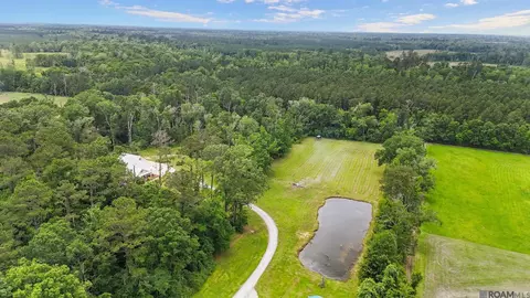 19397 La Hwy 42, Livingston, LA 70754
