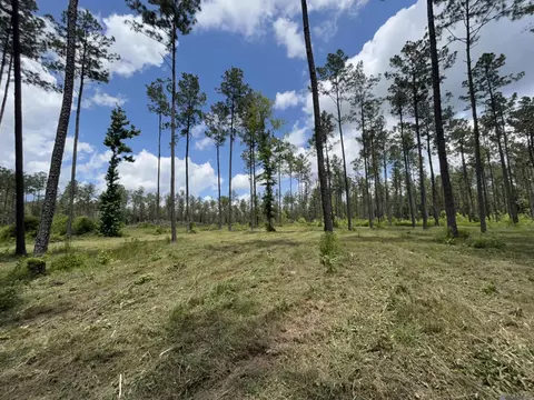 14856 Pace Rd, Clinton, LA 70722