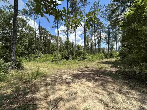 14856 Pace Rd, Clinton, LA 70722 photo 6