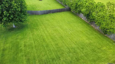 18096 Ira Babin, Prairieville, LA 70769