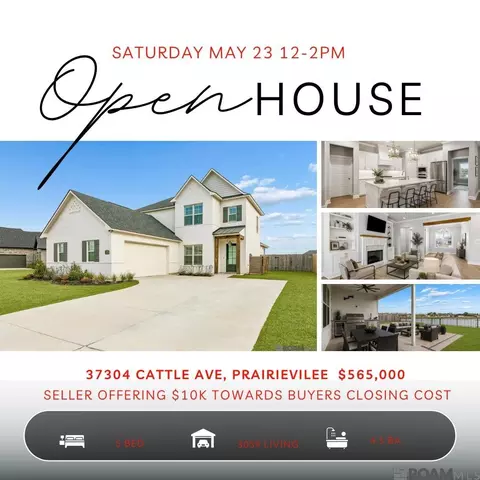 37304 Cattle Ave, Prairieville, LA 70769