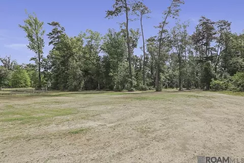 30288 Pine Alley Rd, Springfield, LA 70462 photo 6