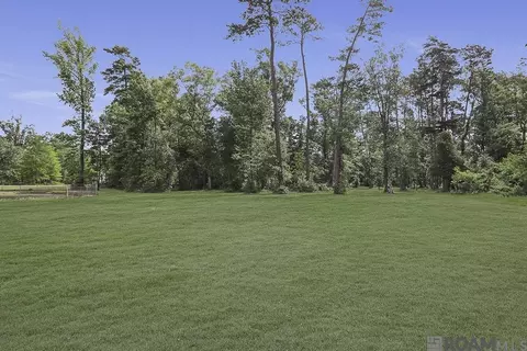 30288 Pine Alley Rd, Springfield, LA 70462 photo 7