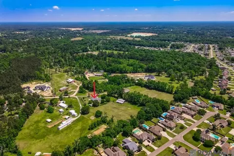 View/Area - 36313 Ruby Moore Rd, Denham Springs, LA 70706 photo 6 of 7