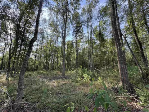 14 Louisiana 16, Denham Springs, LA 70706