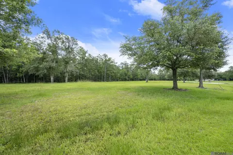 tbd Hb-3-a Bretz Rd, Springfield, LA 70462 photo 4