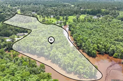 tbd Hb-3-a Bretz Rd, Springfield, LA 70462 photo 6