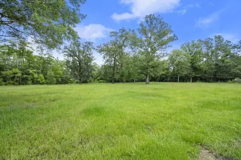 tbd Hb-3-a Bretz Rd, Springfield, LA 70462 photo 2