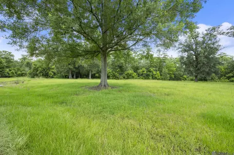 tbd Hb-3-a Bretz Rd, Springfield, LA 70462 photo 3