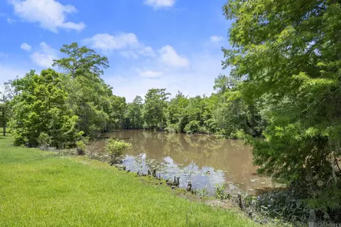 tbd Hb-1 Bretz Rd, Springfield, LA 70462 photo 3