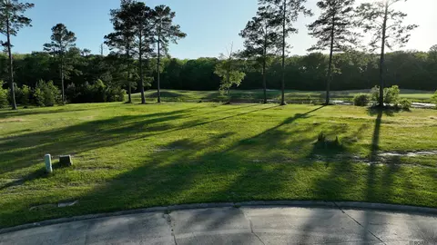 23282 Noble Oak Dr, Springfield, LA 70462