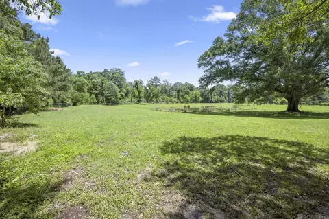 Exterior - 18003 Faller Rd, Tickfaw, LA 70466 photo 11 of 11