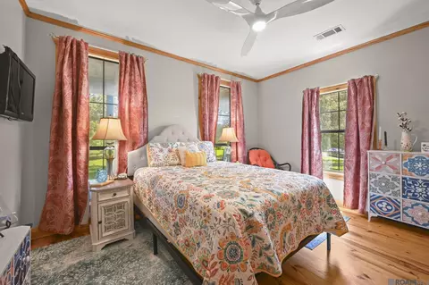 Bedroom - 18003 Faller Rd, Tickfaw, LA 70466 photo 3 of 3