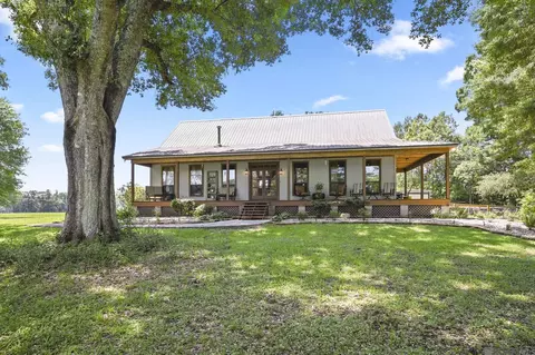 Exterior - 18003 Faller Rd, Tickfaw, LA 70466 photo 3 of 11