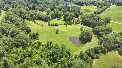 Other - 18003 Faller Rd, Tickfaw, LA 70466 photo 10 of 10