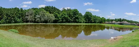 26406 Evangeline Trace Blvd, Denham Springs, LA 70726