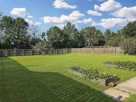 Exterior - 13344 David Lee Dr, Walker, LA 70785 photo 4 of 6