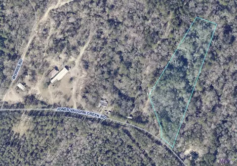 9754 Jones Vaughn Creek Rd, Saint Francisville, LA 70775