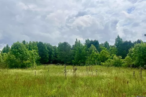 05 Tom Drehr Rd, Pride, LA 70770 photo 7