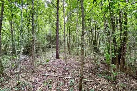 05 Tom Drehr Rd, Pride, LA 70770 photo 11