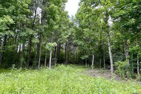 05 Tom Drehr Rd, Pride, LA 70770 photo 15