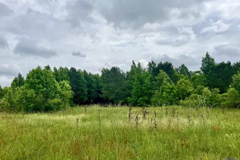 05 Tom Drehr Rd, Pride, LA 70770 photo 14