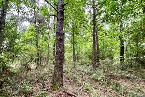 05 Tom Drehr Rd, Pride, LA 70770 photo 9