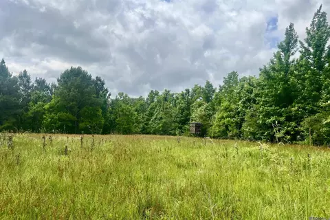 05 Tom Drehr Rd, Pride, LA 70770 photo 12