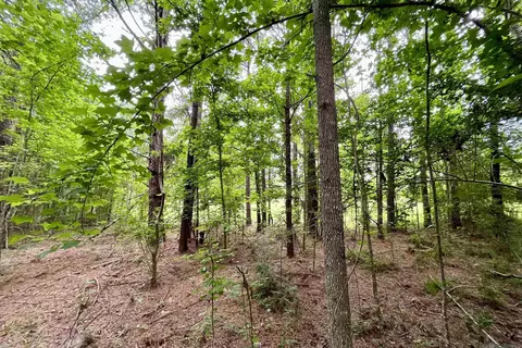 05 Tom Drehr Rd, Pride, LA 70770 photo 13