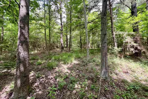 05 Tom Drehr Rd, Pride, LA 70770 photo 3