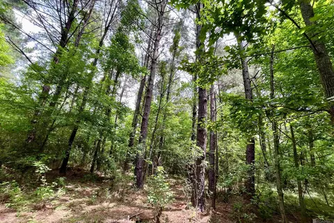 05 Tom Drehr Rd, Pride, LA 70770 photo 17
