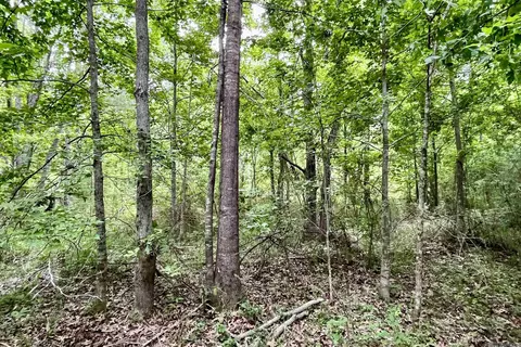 05 Tom Drehr Rd, Pride, LA 70770 photo 6