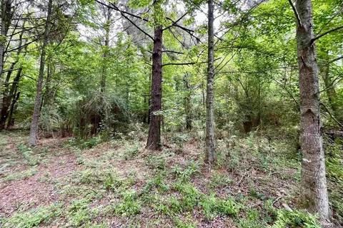 05 Tom Drehr Rd, Pride, LA 70770 photo 5