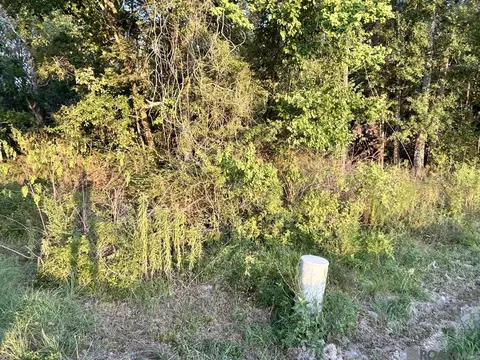 Tba 1-c La Hwy 431, Prairieville, LA 70769