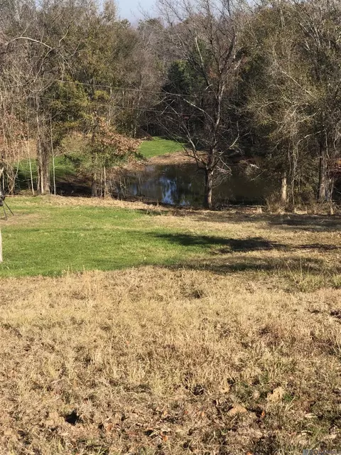 53 Cliffs Plantation Rd, Natchez, MS 39120 photo 25