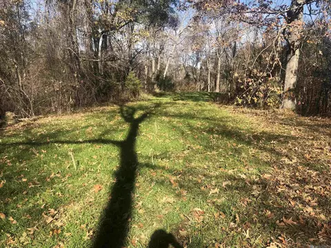 53 Cliffs Plantation Rd, Natchez, MS 39120 photo 14