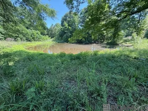 53 Cliffs Plantation Rd, Natchez, MS 39120 photo 10