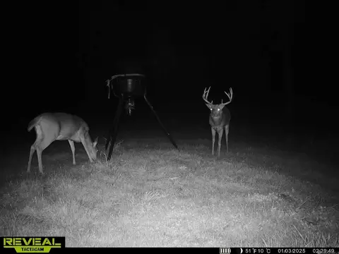 53 Cliffs Plantation Rd, Natchez, MS 39120 photo 18