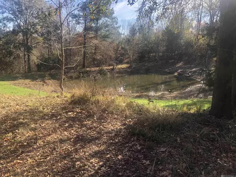 53 Cliffs Plantation Rd, Natchez, MS 39120 photo 22