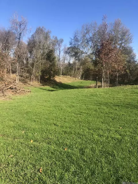 53 Cliffs Plantation Rd, Natchez, MS 39120