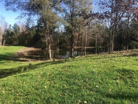 53 Cliffs Plantation Rd, Natchez, MS 39120 photo 11