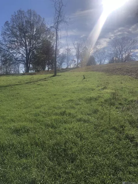 53 Cliffs Plantation Rd, Natchez, MS 39120 photo 8