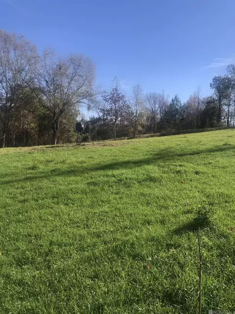 53 Cliffs Plantation Rd, Natchez, MS 39120 photo 7